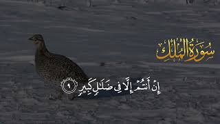 SURAH MULK WITH URDU TRANSLATION BEAUTIFUL RECITATION COMPLETE SURAH