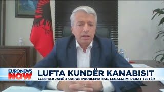 Lufta kundër kanabisit, Lleshaj: Janë 4 qarqe problematike, legalizimi debat tjetër