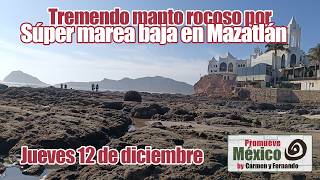 Y regresa de nuevo la súper baja Marea en Mazatlán