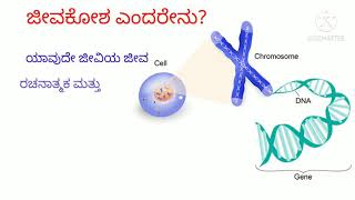 What is cell # ಜೀವ ಕೋಶ ಎಂದರೇನು