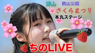 ちの🏯津山🌸さくらまつり　🍓ちのLive「4K動画」