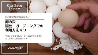 肥料や害虫対策になる？卵の殻の園芸・ガーデニングでの利用方法４つ