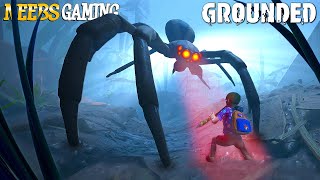 Huge Jumping Spiders!!! - Grounded