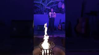 Adele - Turning Tables (Cover by Shadia)