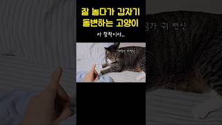 벨튀 당한 남집사ㅋㅋ