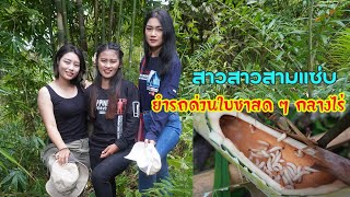 ดิบ ฝน ชนเผ่า EP440 แปลกแต่อร่อยเก็บหนอนรถด่วนสด ๆ มายำใบชา