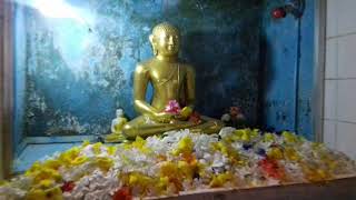 Sri Lanka,ශ්‍රී ලංකා,Ceylon,Bodhi Tree,Buddha