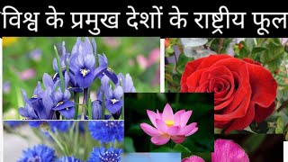 विश्व की प्रमुख देशों के राष्ट्रीय फूल/National Flower/#knowladgeable#studyclassbylavkumar