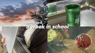 A week in school as a STEM student | Silent vlog ୨୧ 🪽| episode 5: experiments, school works ⋅˚₊‧