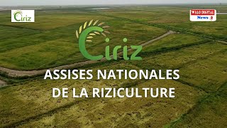 AGRICULTURE: ASSISE SUR LA RIZICULTURE, SUIVEZ LES RECOMMANDATIONS MAJEURES