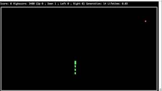 AI plays Snake game (NEAT algorithm)
