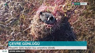 Beyşehir Gölü kuş cenneti 🦅 / Çevre Günlüğü