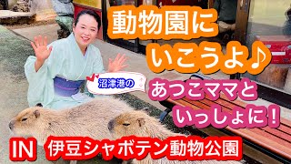 【伊豆観光スポット】伊豆シャボテン動物公園が楽しすぎた‼️カピバラ入浴シーンにほっこり♪ボートに乗って探検！ワオキツネザルの赤ちゃん発見⁈