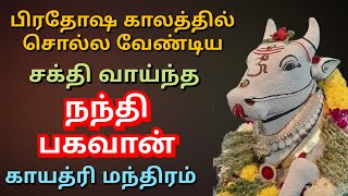 Pradosham | Nandi Gayatri Mantra | பிரதோஷம் |  நந்தி காயத்ரி மந்திரம்..