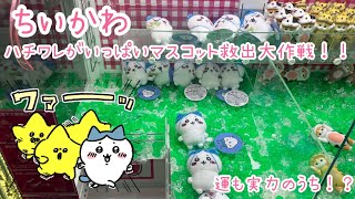 【ちいかわ】ハチワレがいっぱいマスコット救出大作戦！！運も実力のうち！？