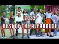 🔥 2023 The AlfaHouse 💯 Tiktok Dance Challenge Compilation #theealfahouse #nasieku #klaus