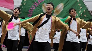 TEAM SAKURA ヤートセ秋田祭 in 秋大祭2017