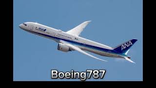 Beautiful Boeing 787