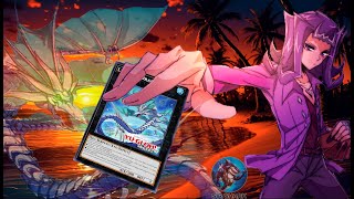 Shark - Replays TCG - EDOPRO | Yu-Gi-Oh!