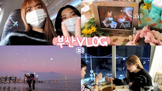 VLOG | 2박 3일 부산 우정여행 브이로그 #1광안리편 | 뚜벅이 여행 : 부산 핫플, 비행기, 밀면, 소품샵 투어, 광안리 핑크노을, 낙곱새