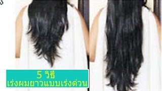 5 วิธี เร่งผมยาวแบบเร่งด่วน เห็นผลจริง l แรบบิท มาแชร์