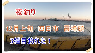 12月上旬　四日市　霞埠頭　夜釣り　3種目釣れた！アナゴがメインです