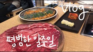 출판편집자 vlog : 평범한 일주일, 오랜만에 본부 회식, 시공북클럽 언박싱 : 직장인 브이로그