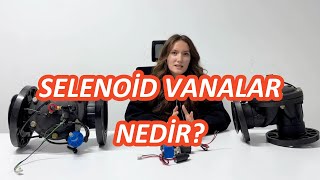 Selenoid  Vana Nedir | Esular