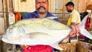 KASIMEDU 🔥 SPEED SELVAM | FRESH WHITE TREVALLY FISH CUTTING VIDEO | IN KASIMEDU | FF CUTTING 🔪