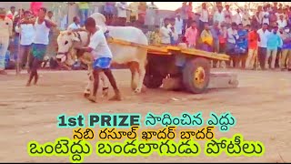 1ST PRIZE సాధించిన ఎద్దు, ఒంటెద్దు బండలాగుడు పోటీలు, పొద్దుటూరు టౌన్ కడప జిల్లా ,సంక్రాంతి సంబరాలు