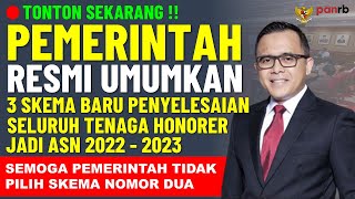 🔴RESMI PEMERINTAH UMUMKAN 3 SKEMA PENYELESAIAN SELURUH TENAGA HONORER JADI ASN