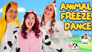 Animal Freeze Dance | Nursery Rhymes and Kids Songs (Educational Videos for Kids \u0026 Babies)