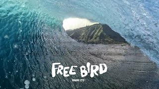 伊東李安琉“FREE BIRD”予告編第2弾