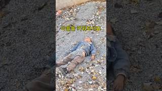 삶이 지루할땐 아들을 키워보세요..PART 1