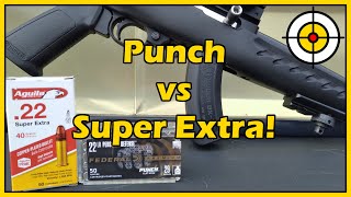 Is It Super \u0026 Extra Enough To Beat The Punch? .22lr Punch vs Aguila Super Extra Ballistic Gel Test!