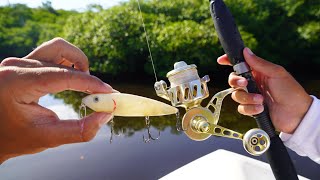 Catching GIANT Snook on TOPWATER