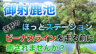 ビーナスライン走るなら行ってみては？標高1500mの癒しスポット【モトブログ】