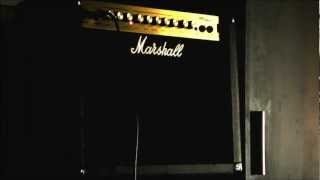 Marshall MG30DFX \