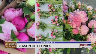 It's peony season in Davie County