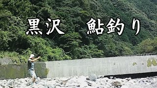 安倍川上流、鮎の餌釣り。