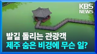연꽃 사라지고 녹조만 둥둥…연화못 내년엔 복원될까 / KBS  2023.06.24.