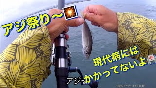 【浜名湖】海釣り公園 サビキ 釣り アジ祭り #浜名湖 #海釣り公園 #サビキ #サビキ釣り #アジ #イワシ