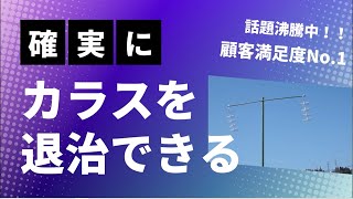 カラス被害から解放！カラス撃退の最新アイテム『からすなぜにげる？』新型完成！