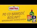 Po co nawozić rośliny? Wspomagamy rozwój roślin