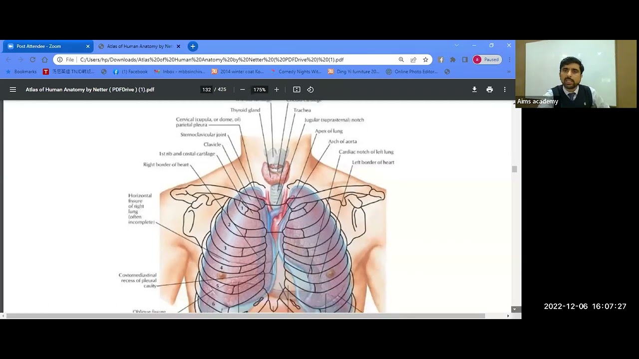 Thorax Atlas Lecture 1 Amazing Concepts Be A Surgeon Youtube
