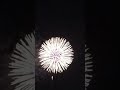 夏の風物詩 江戸川区花火大会 2023 edogawa fireworks festival