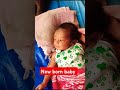 আমাদের বাড়ি নতুন সদস্য কেমন হয়েছে🥰🥰🥰🥰🥰🥰 baby newbornbaby