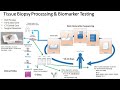 21 Principles of Biomarker Testing: Part 1 Tissue Testing