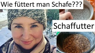 Schaffutter - Was fressen meine Schafe? MELKZEIT IM STALL