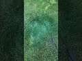 omg we re painting grass now play this on repeat tag your friends to see this go visit petra